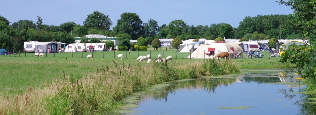 Camping-7473-passantenveld