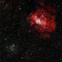 Test bericht november 2024