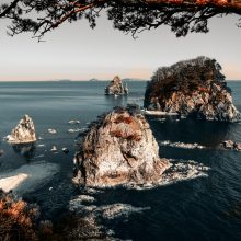 CMS updates september 2023 test